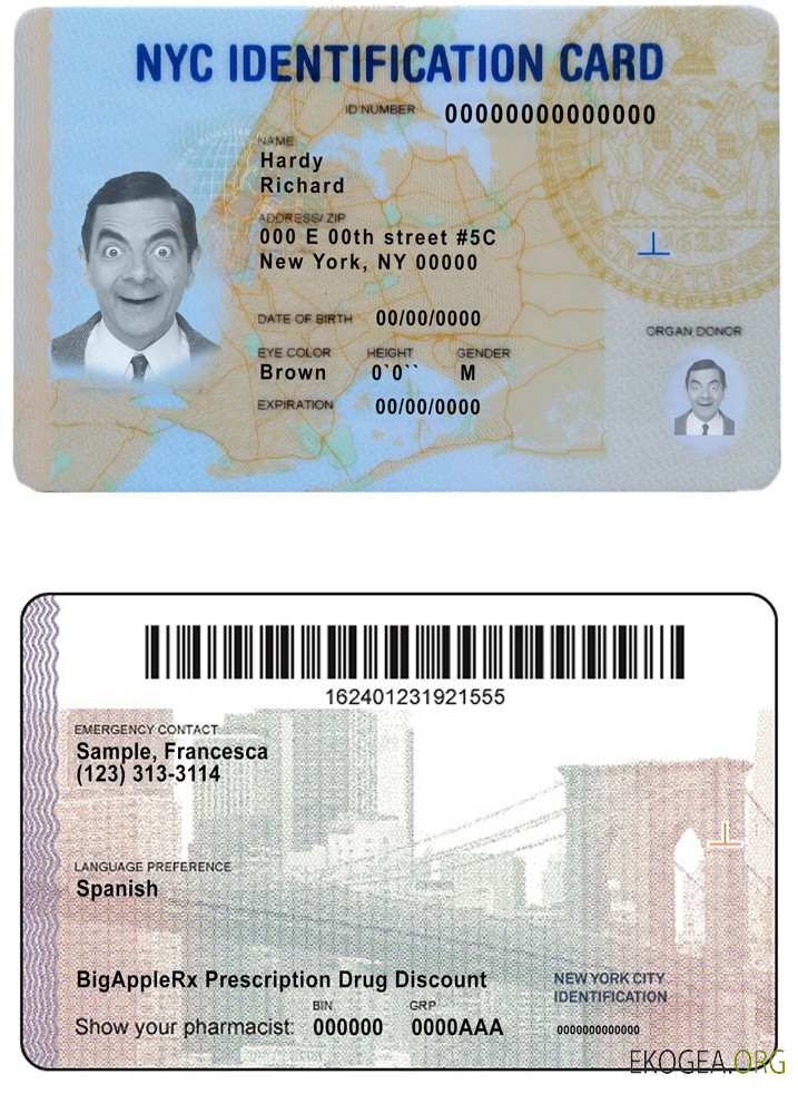 Carte d'identité États-Unis New York template Carte d'identité États-Unis New York template